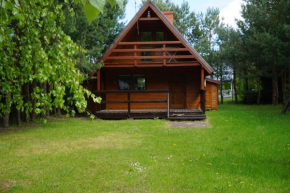 Osada Sosnowa, Kopalino